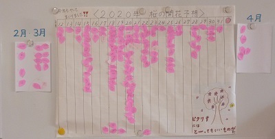 2020開花予想2.jpg