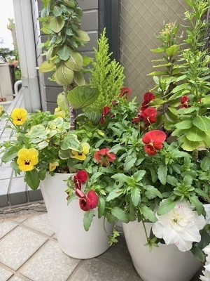 image0 1(3).jpeg